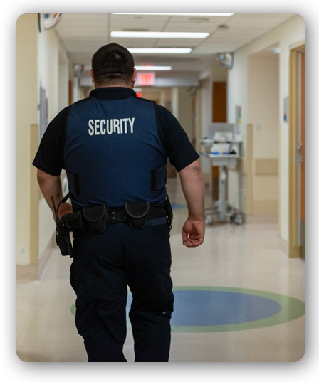 HEALTHCARE SECURITY SERVICES